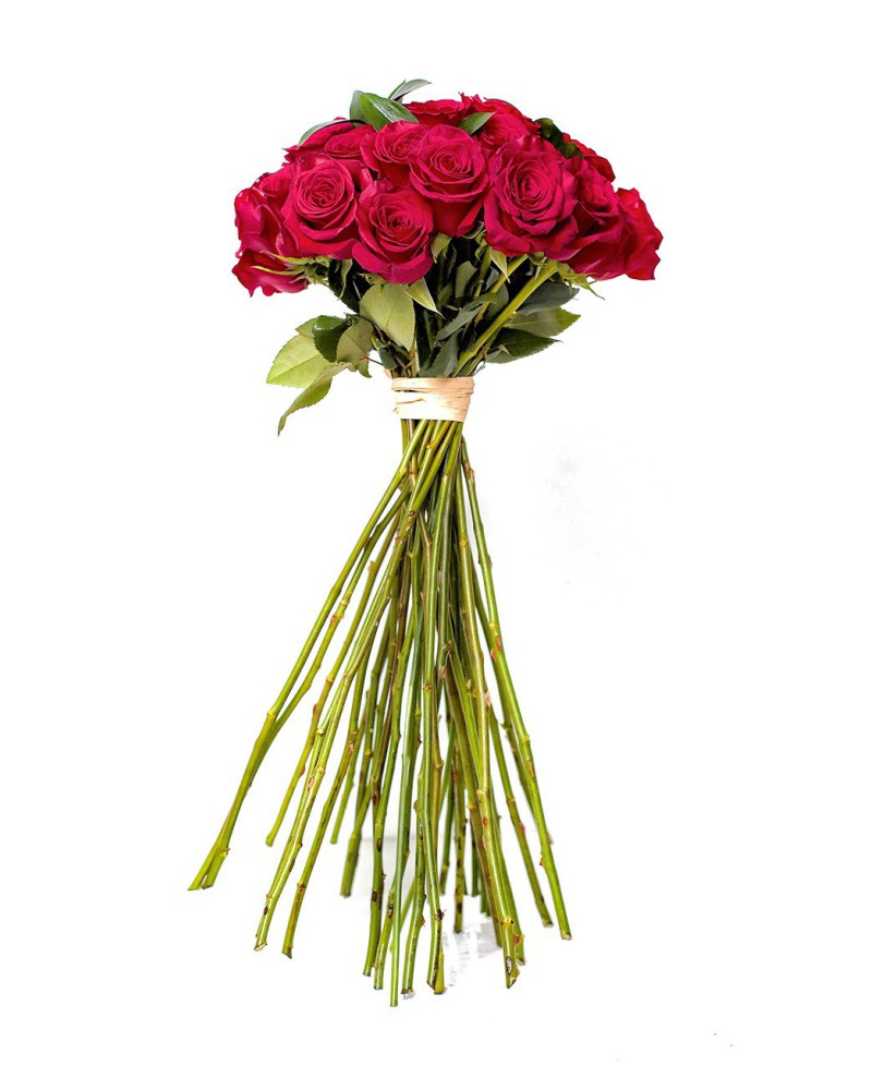 ROSAS ROJAS