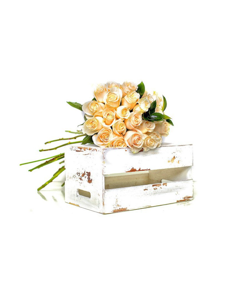 ROSAS BLANCAS