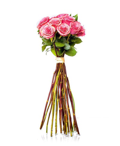 ROSAS ROSAS